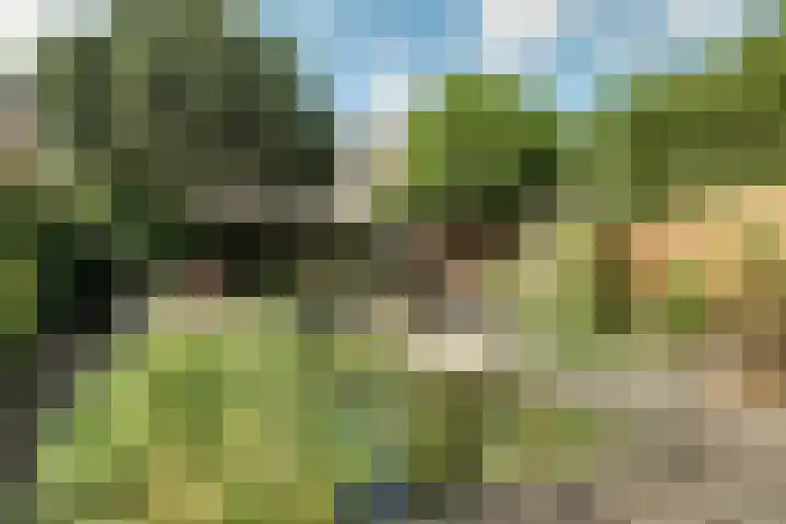 Ter Braaklaan 5 Heerhugowaard thumbnail 18