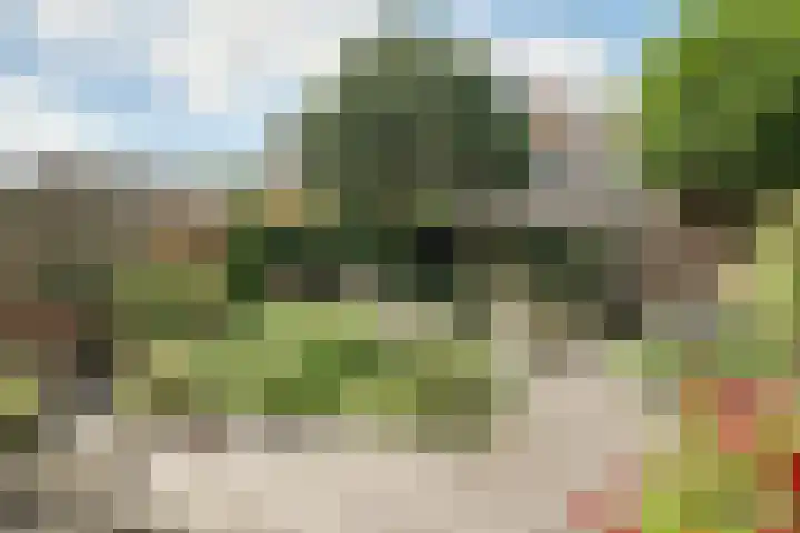 Ter Braaklaan 5 Heerhugowaard thumbnail 20