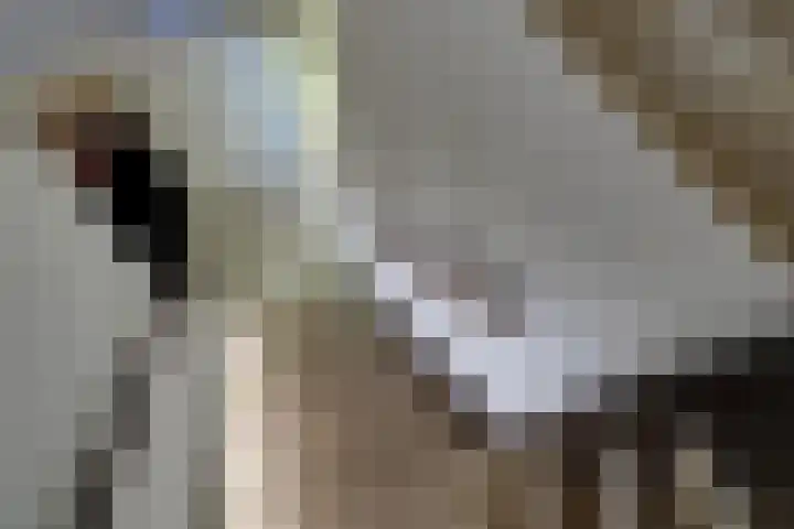 Ter Braaklaan 5 Heerhugowaard thumbnail 30