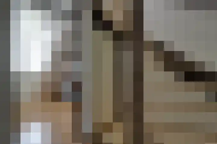 Ter Braaklaan 5 Heerhugowaard thumbnail 31