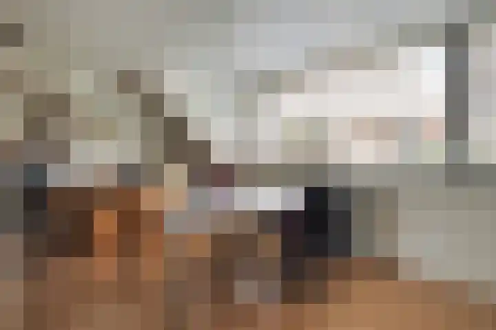 Ter Braaklaan 5 Heerhugowaard thumbnail 32