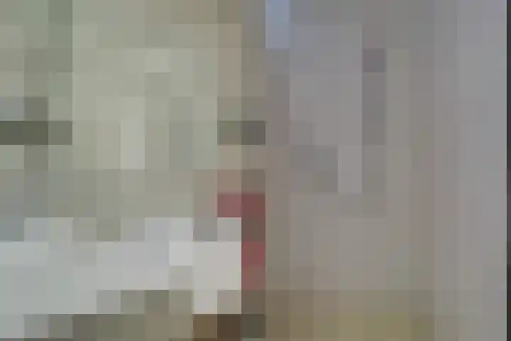 Ter Braaklaan 5 Heerhugowaard thumbnail 37