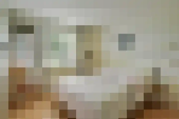 Ter Braaklaan 5 Heerhugowaard thumbnail 39