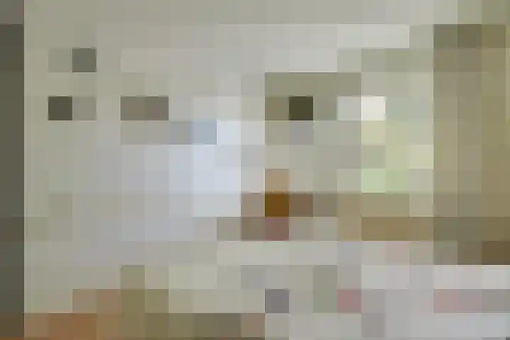 Ter Braaklaan 5 Heerhugowaard thumbnail 40