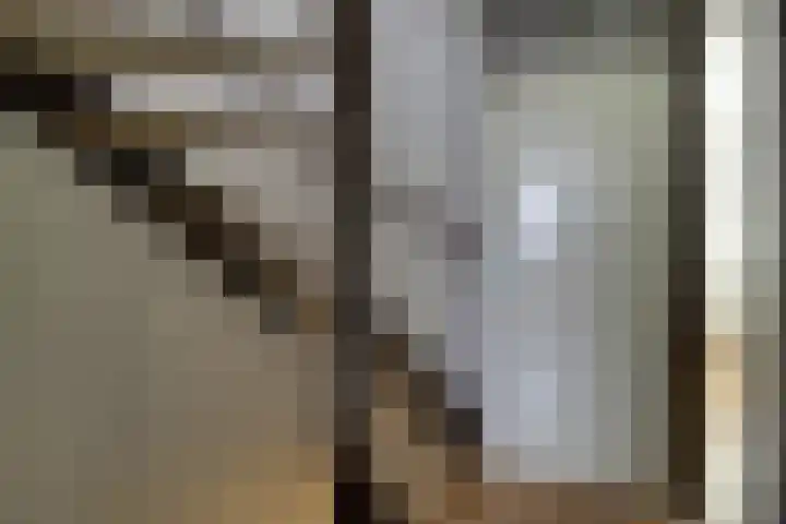 Ter Braaklaan 5 Heerhugowaard thumbnail 42