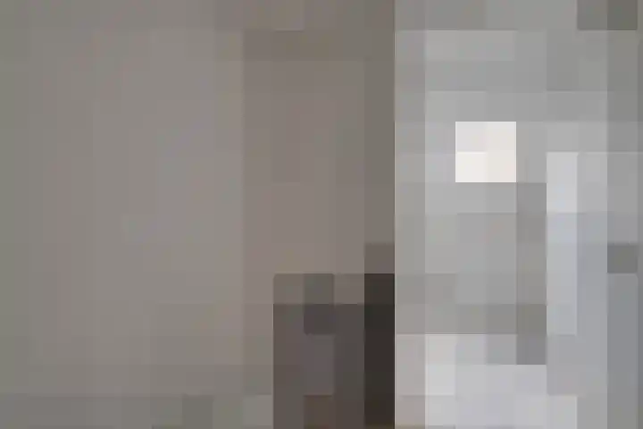 Ter Braaklaan 5 Heerhugowaard thumbnail 43