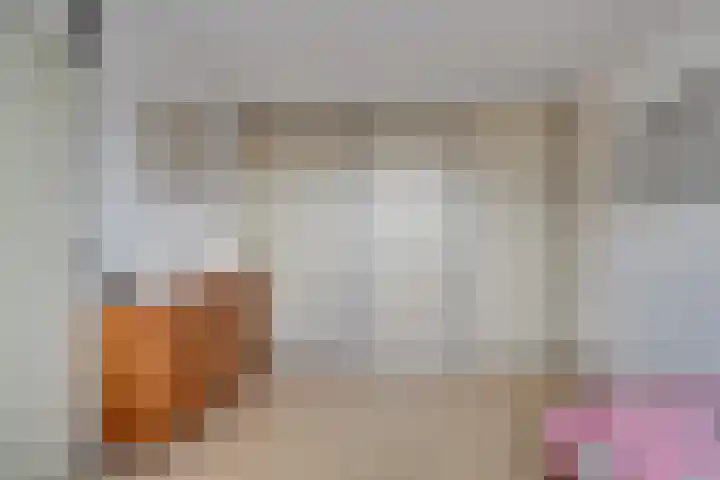 Ter Braaklaan 5 Heerhugowaard thumbnail 48
