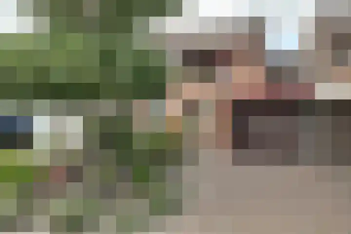 Ter Braaklaan 5 Heerhugowaard thumbnail 49