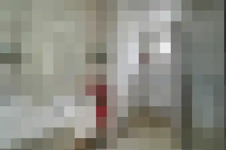 Ter Braaklaan 5 Heerhugowaard thumbnail 5