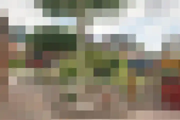 Ter Braaklaan 5 Heerhugowaard thumbnail 50