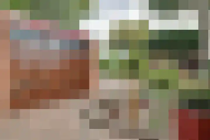 Ter Braaklaan 5 Heerhugowaard thumbnail 51