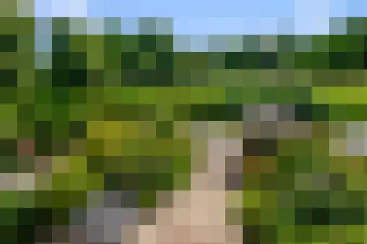 Ter Braaklaan 61 Uithoorn thumbnail 16