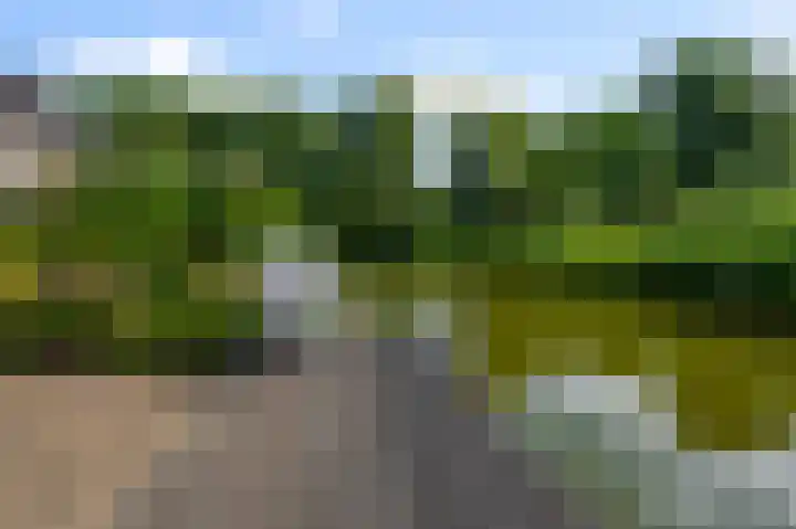 Ter Braaklaan 61 Uithoorn foto 2