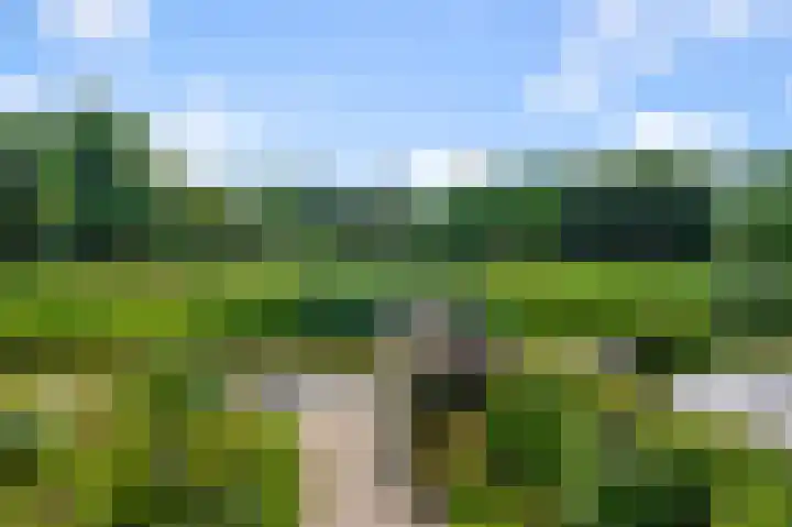 Ter Braaklaan 61 Uithoorn thumbnail 37