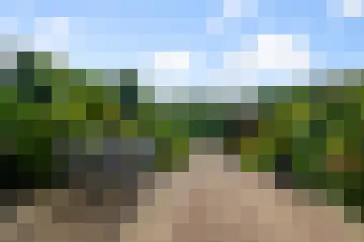 Ter Braaklaan 61 Uithoorn thumbnail 39
