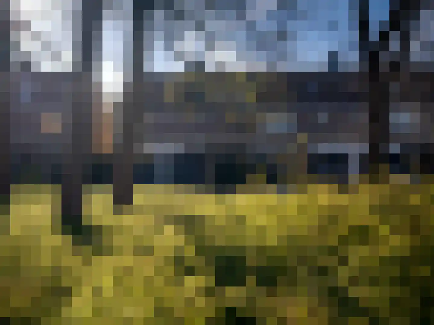 Ter Braaklaan 63 Uithoorn thumbnail 34