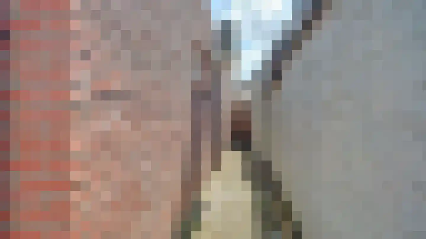 Ter Bruggehof 6 Almelo thumbnail 29