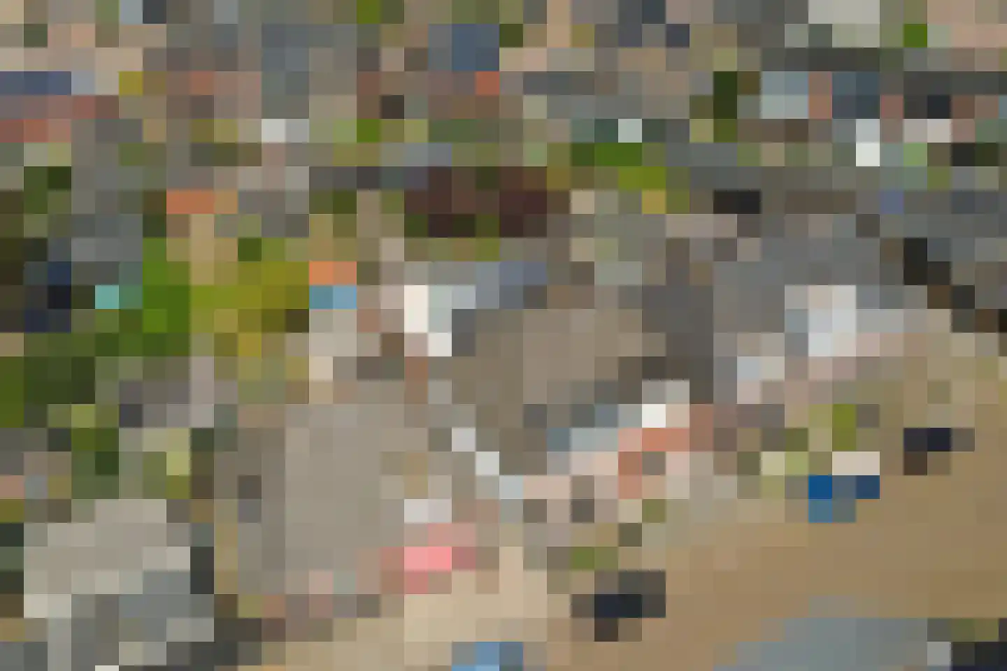 Ter Bruggehof 6 Almelo thumbnail 33