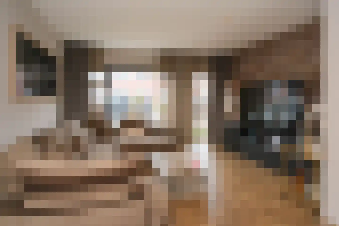 Ter Bruggehof 6 Almelo thumbnail 5