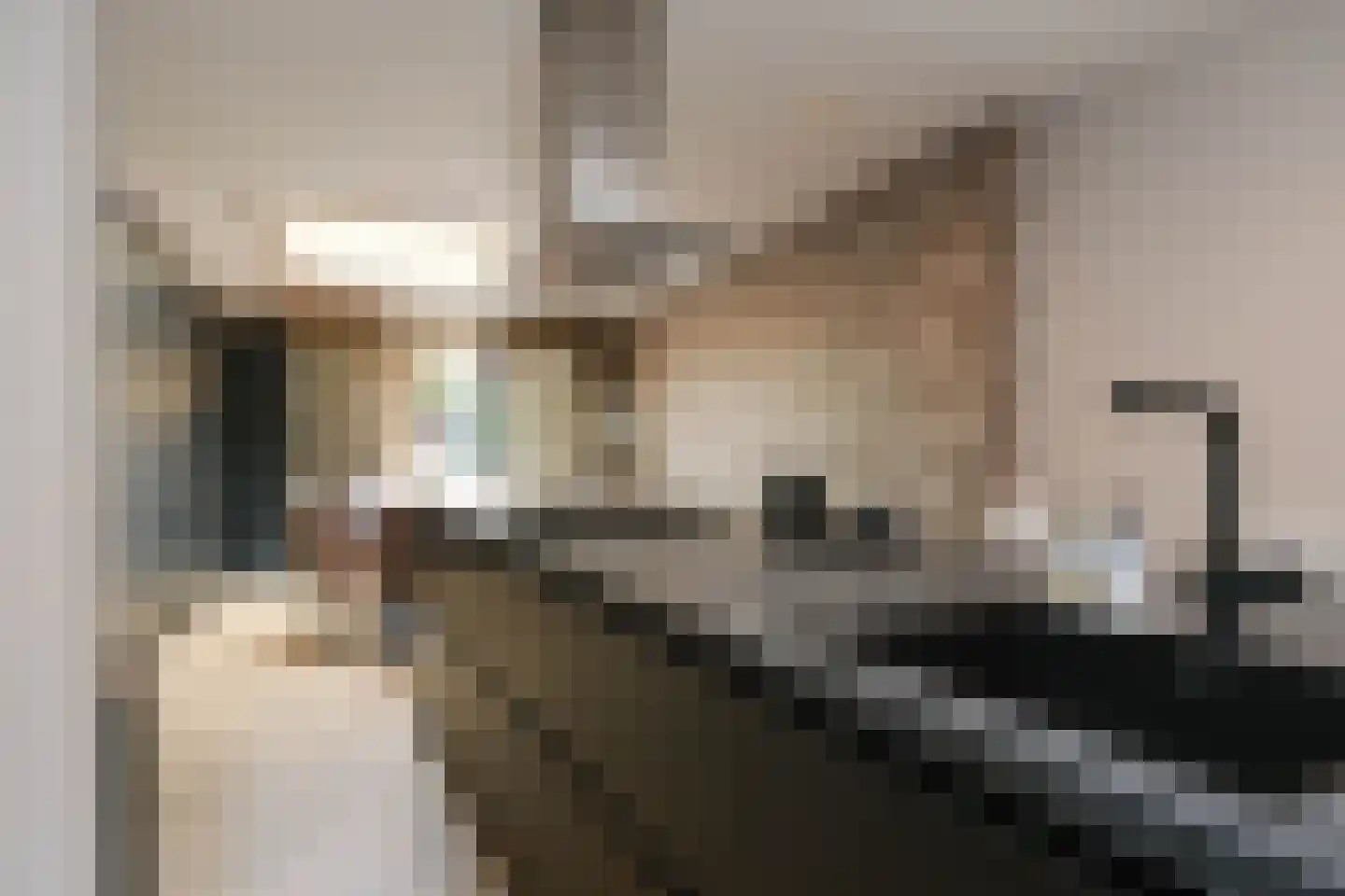 Ter Bruggehof 6 Almelo thumbnail 7