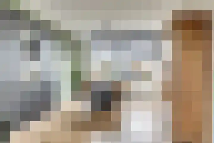 Ter Doestwei 27 Goes thumbnail 12