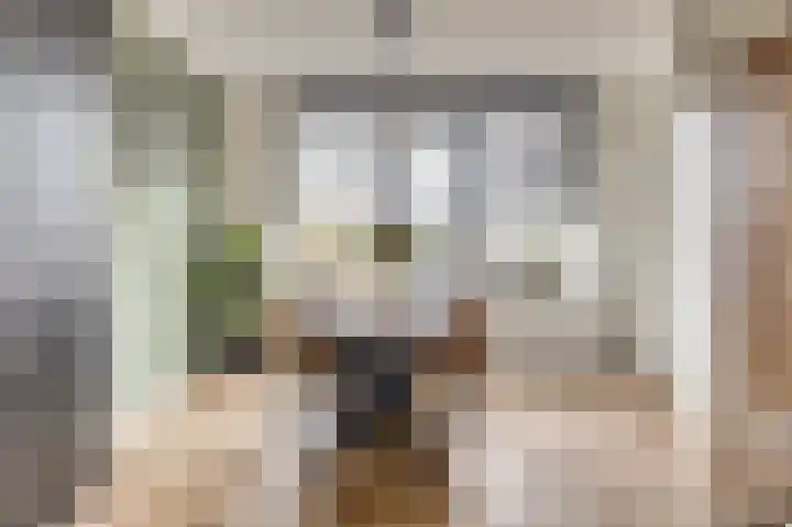 Ter Doestwei 27 Goes thumbnail 14