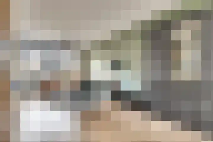 Ter Doestwei 27 Goes thumbnail 15
