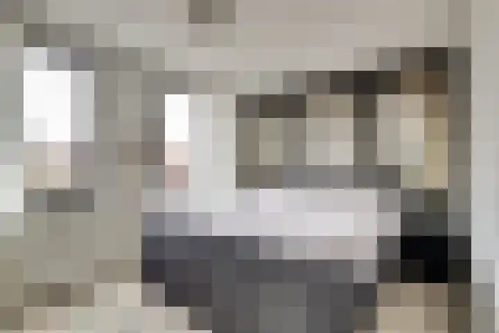 Ter Doestwei 27 Goes thumbnail 19