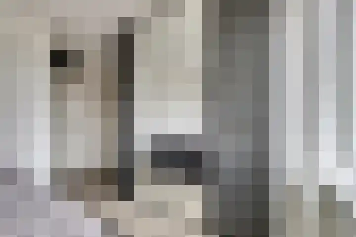 Ter Doestwei 27 Goes thumbnail 20