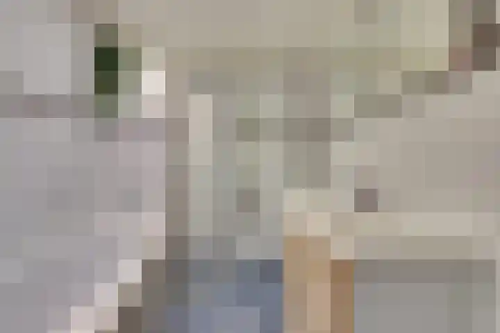 Ter Doestwei 27 Goes thumbnail 23