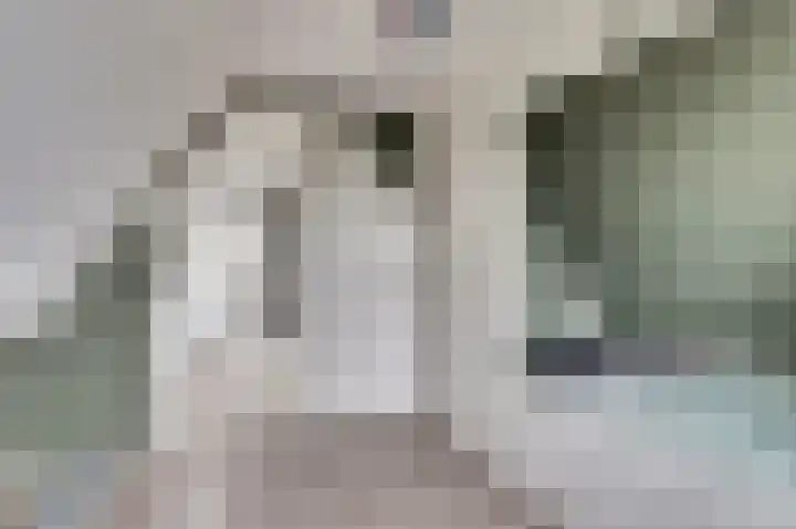 Ter Doestwei 27 Goes thumbnail 28