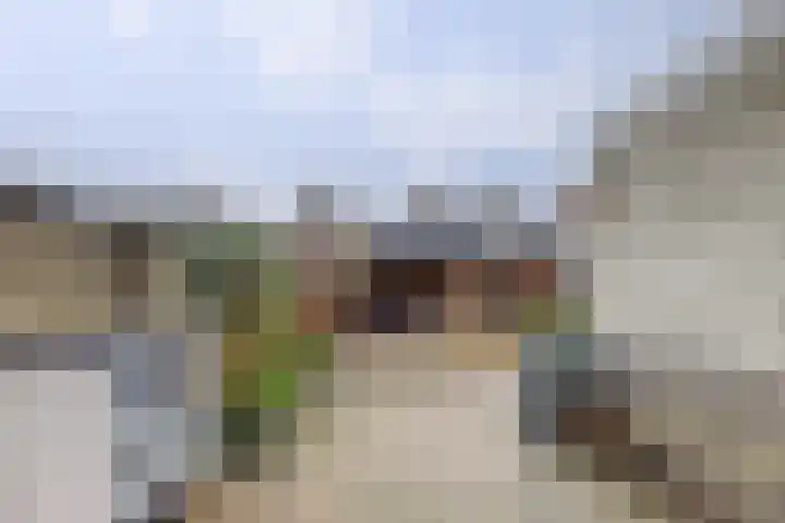 Ter Doestwei 27 Goes thumbnail 30