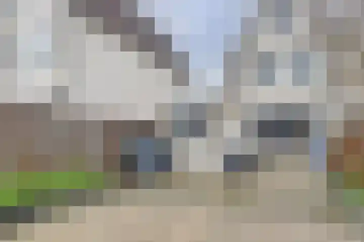 Ter Doestwei 27 Goes thumbnail 34