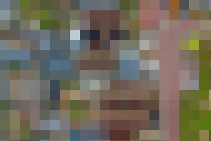 Ter Doestwei 27 Goes thumbnail 37