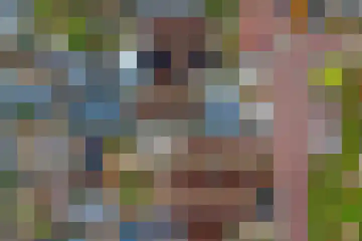 Ter Doestwei 27 Goes thumbnail 38