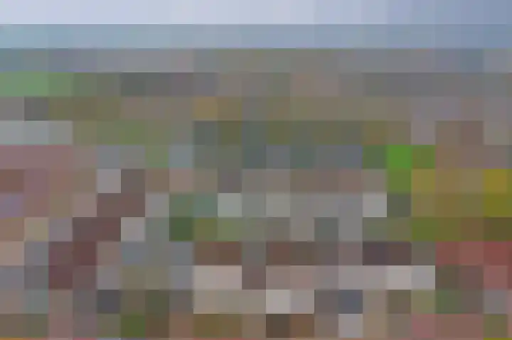 Ter Doestwei 27 Goes thumbnail 39