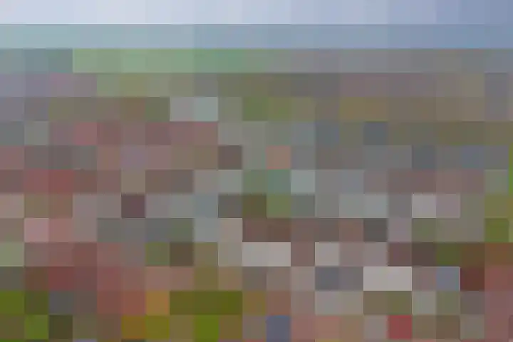 Ter Doestwei 27 Goes thumbnail 40