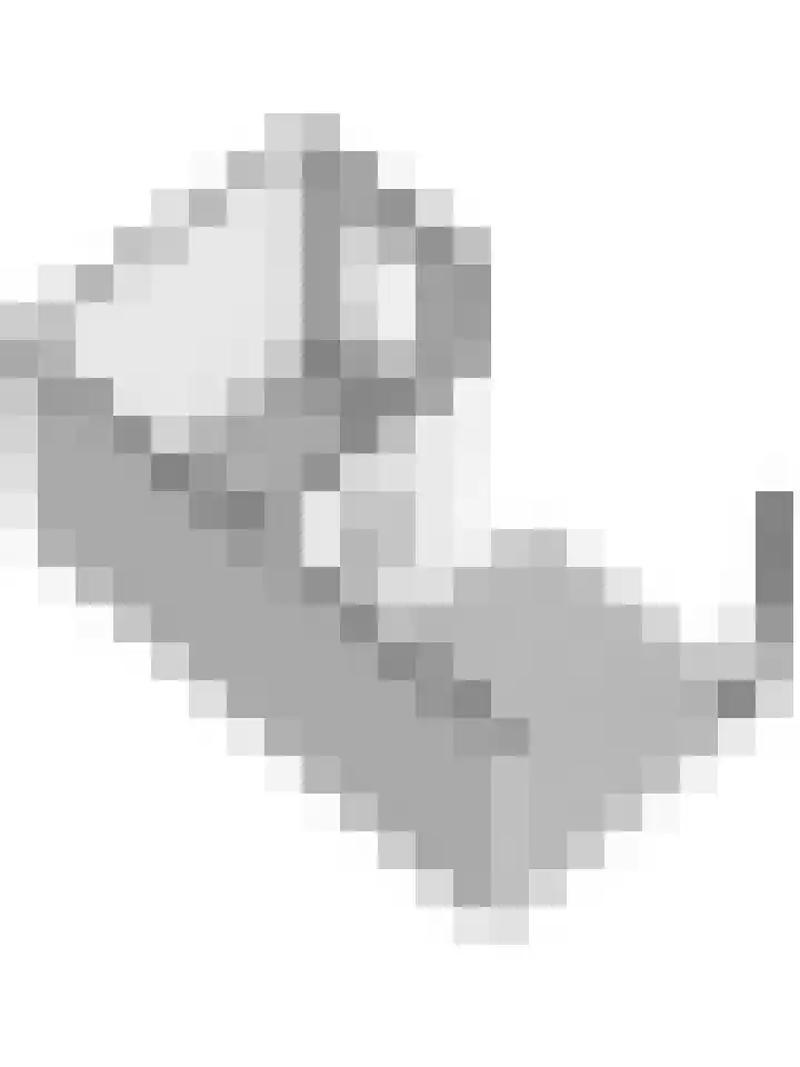 Ter Doestwei 27 Goes thumbnail 51