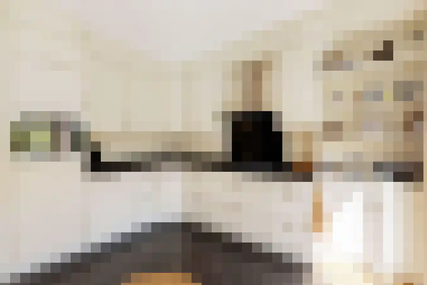 ter Eik 19 Veldhoven thumbnail 21