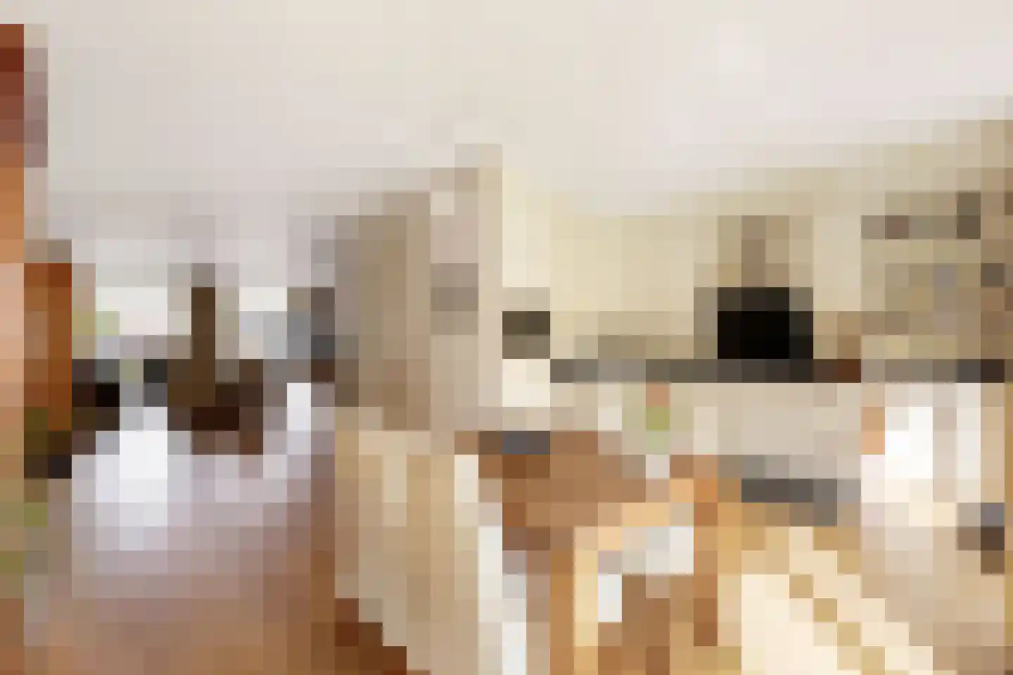 ter Eik 19 Veldhoven thumbnail 23