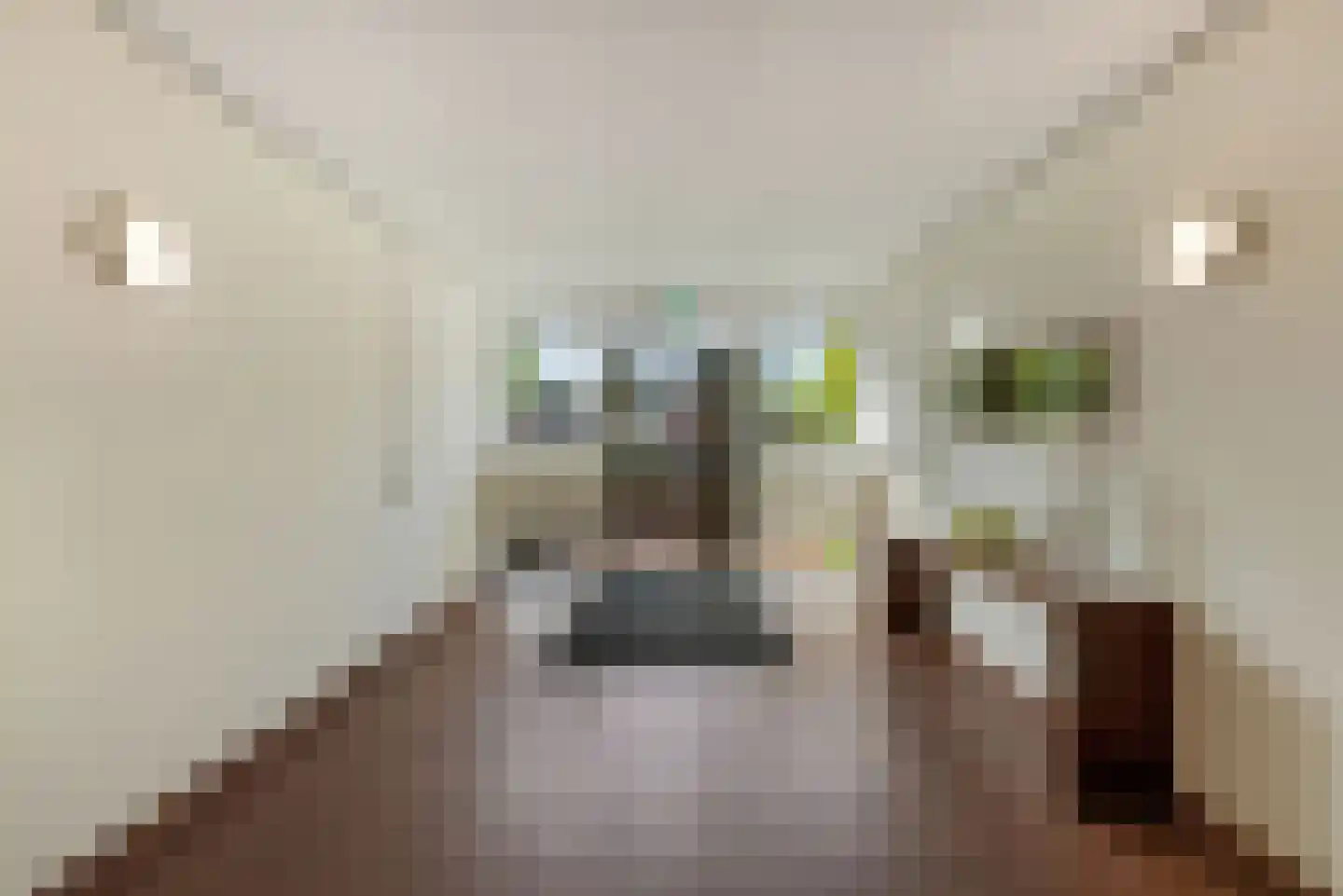 ter Eik 19 Veldhoven thumbnail 6
