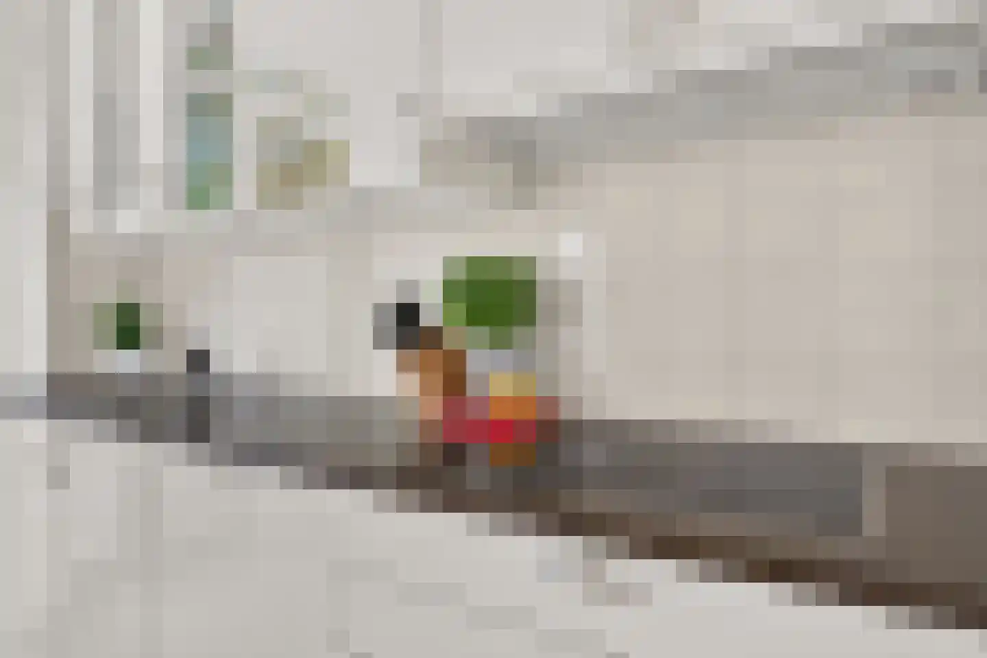 ter Eik 7 Veldhoven thumbnail 23