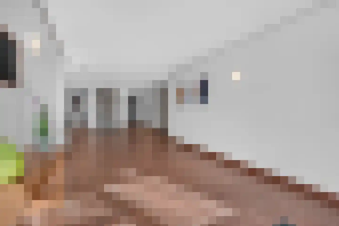 ter Eik 7 Veldhoven thumbnail 8