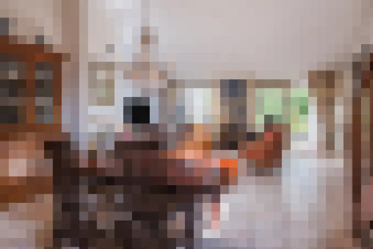 Ter Eycken 16 Veghel thumbnail 13