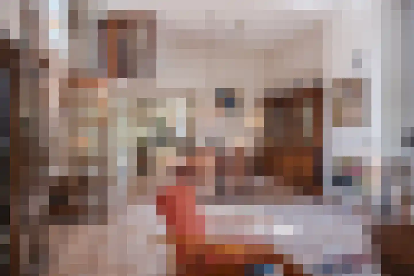 Ter Eycken 16 Veghel thumbnail 14