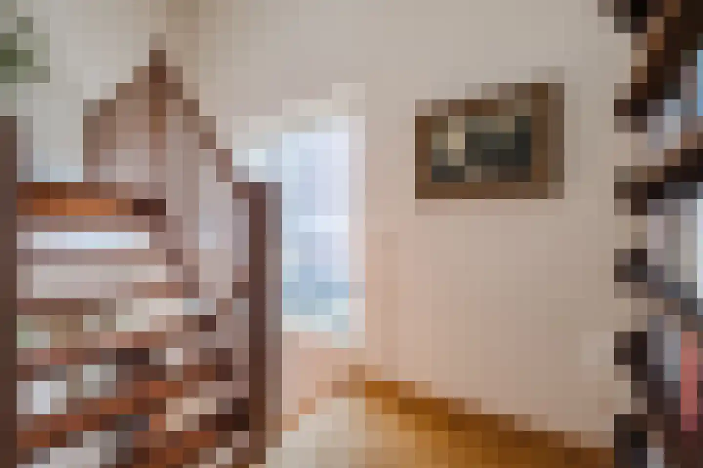 Ter Eycken 16 Veghel thumbnail 26