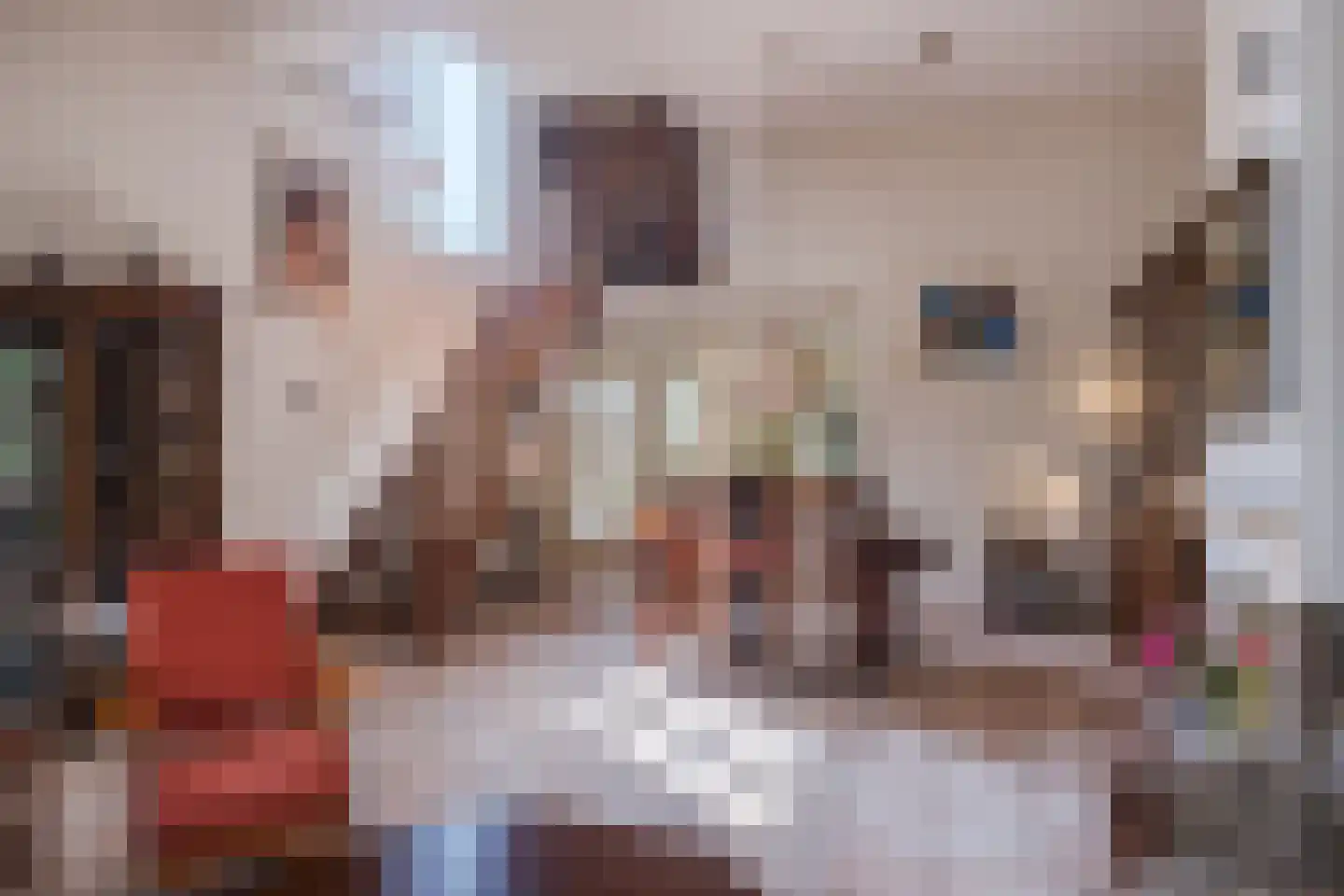 Ter Eycken 16 Veghel foto 3