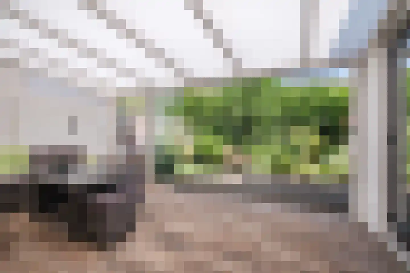 Ter Eycken 16 Veghel thumbnail 33
