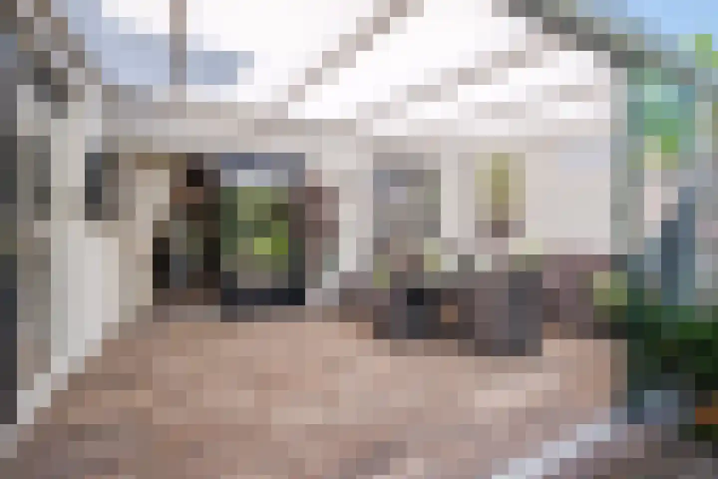 Ter Eycken 16 Veghel thumbnail 34