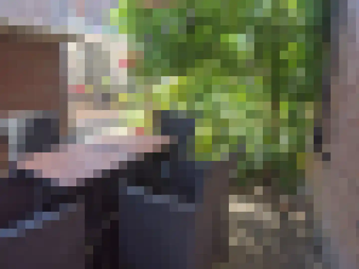 Ter Eycken 16 Veghel thumbnail 40